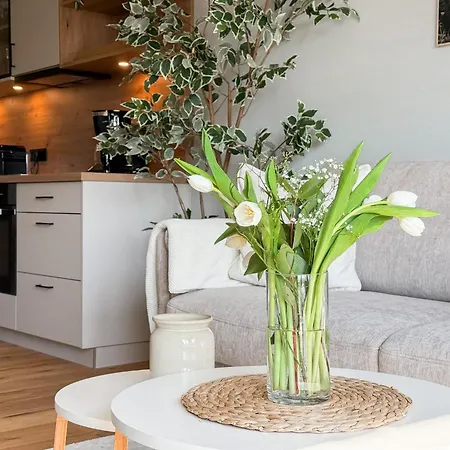 Apartmán Sonnenufer Am Duemmer Lembruch